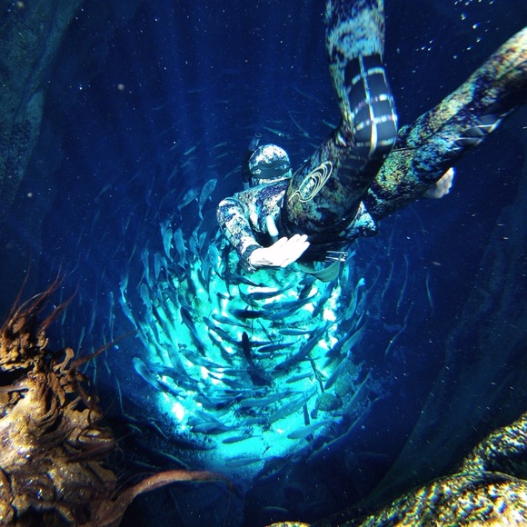 LIVE SHOWS Listing!!!! - Picture 2 of 7